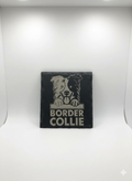 split face border collie coaster
