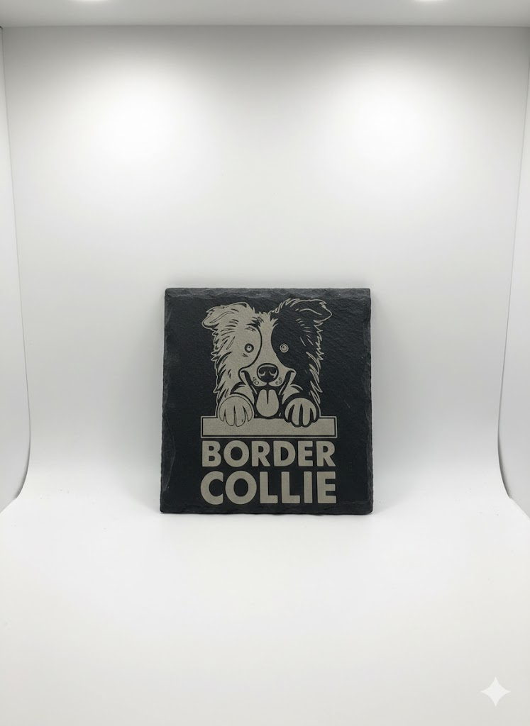 split face border collie coaster